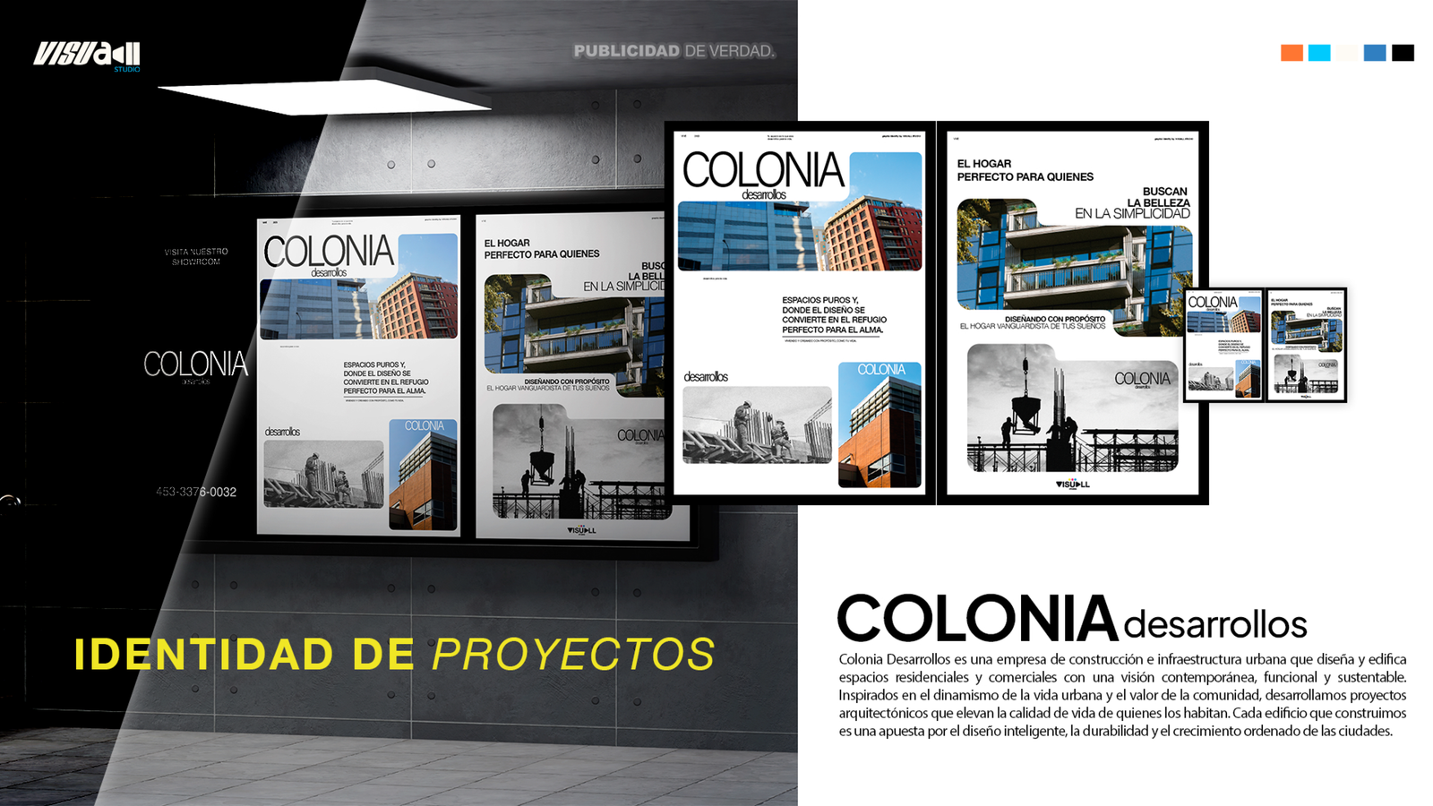 Colonia Desarrollos
